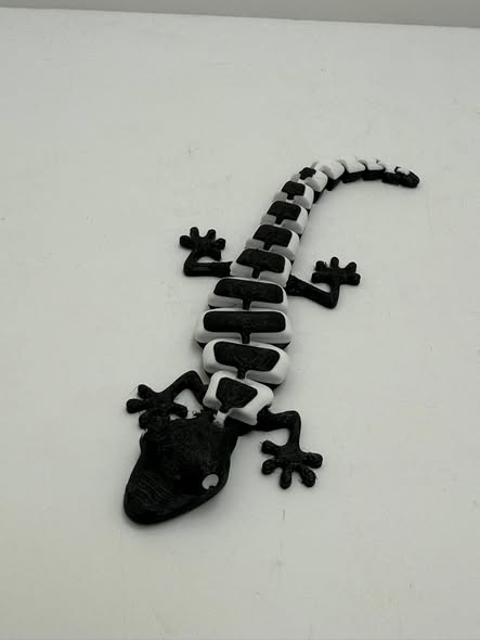 Articulated Black and white gecko