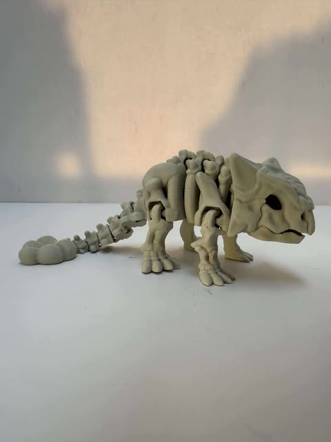 Skele Ankylosaurus