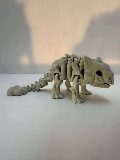 Skele Ankylosaurus